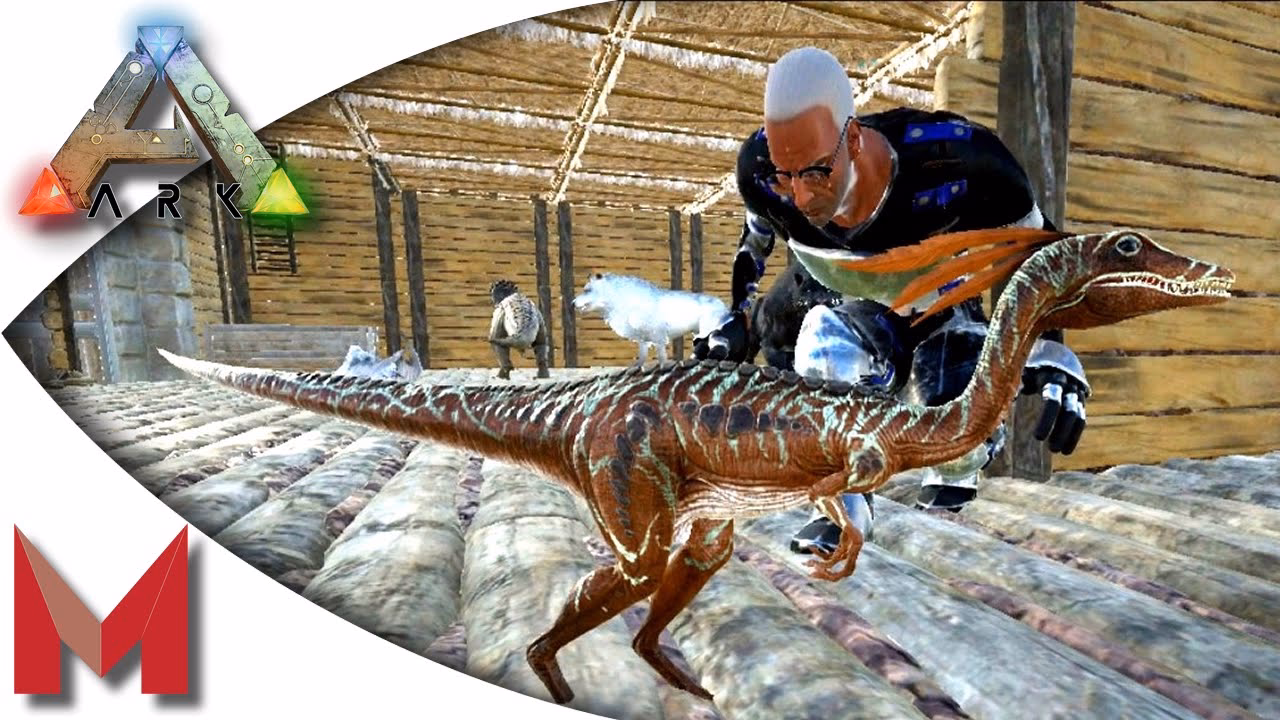 What does a compy eat in Ark Survival Evolved?