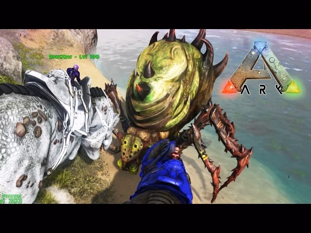 Is Araneo tameable?