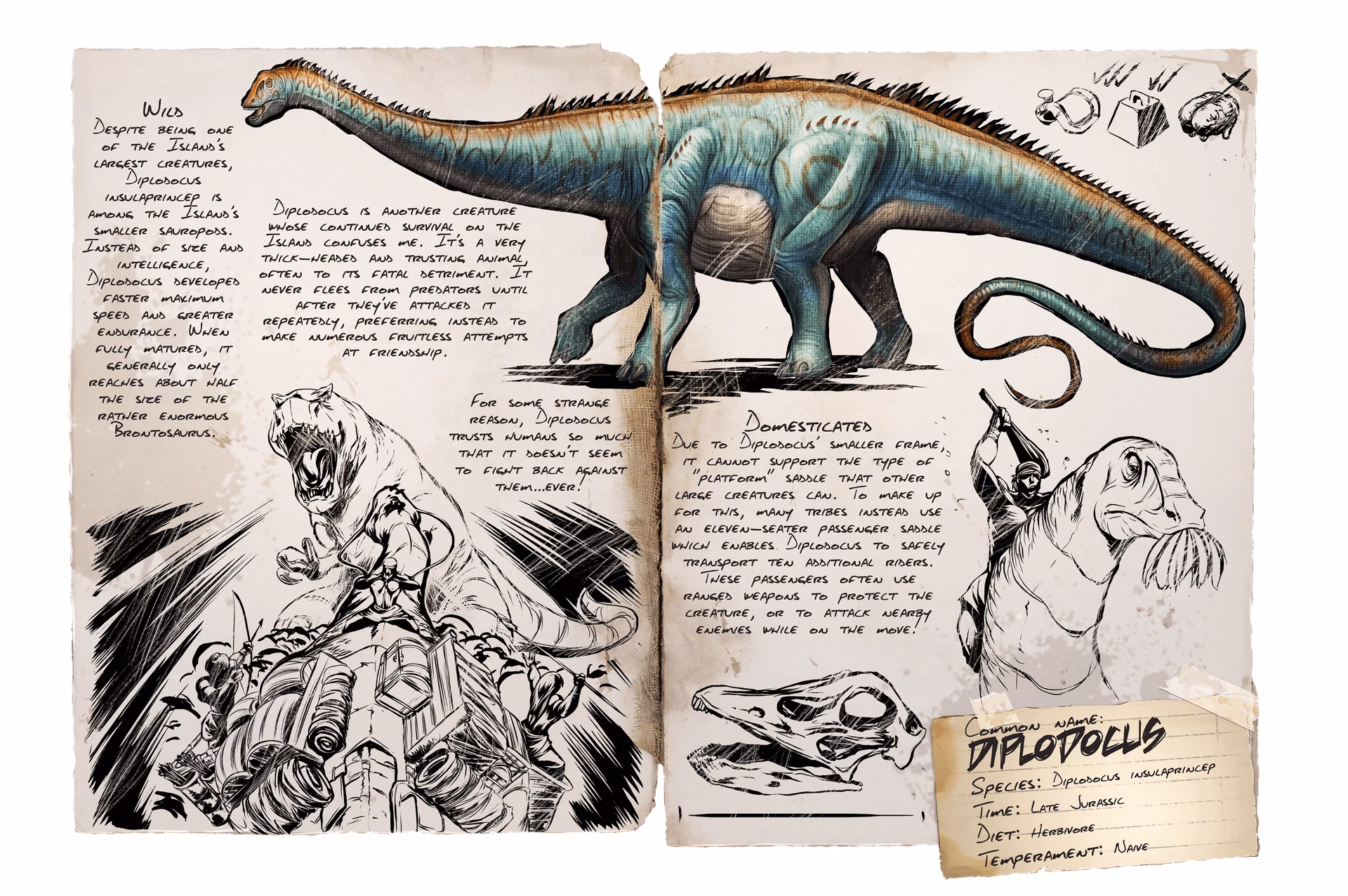 What do Diplodocus eat?