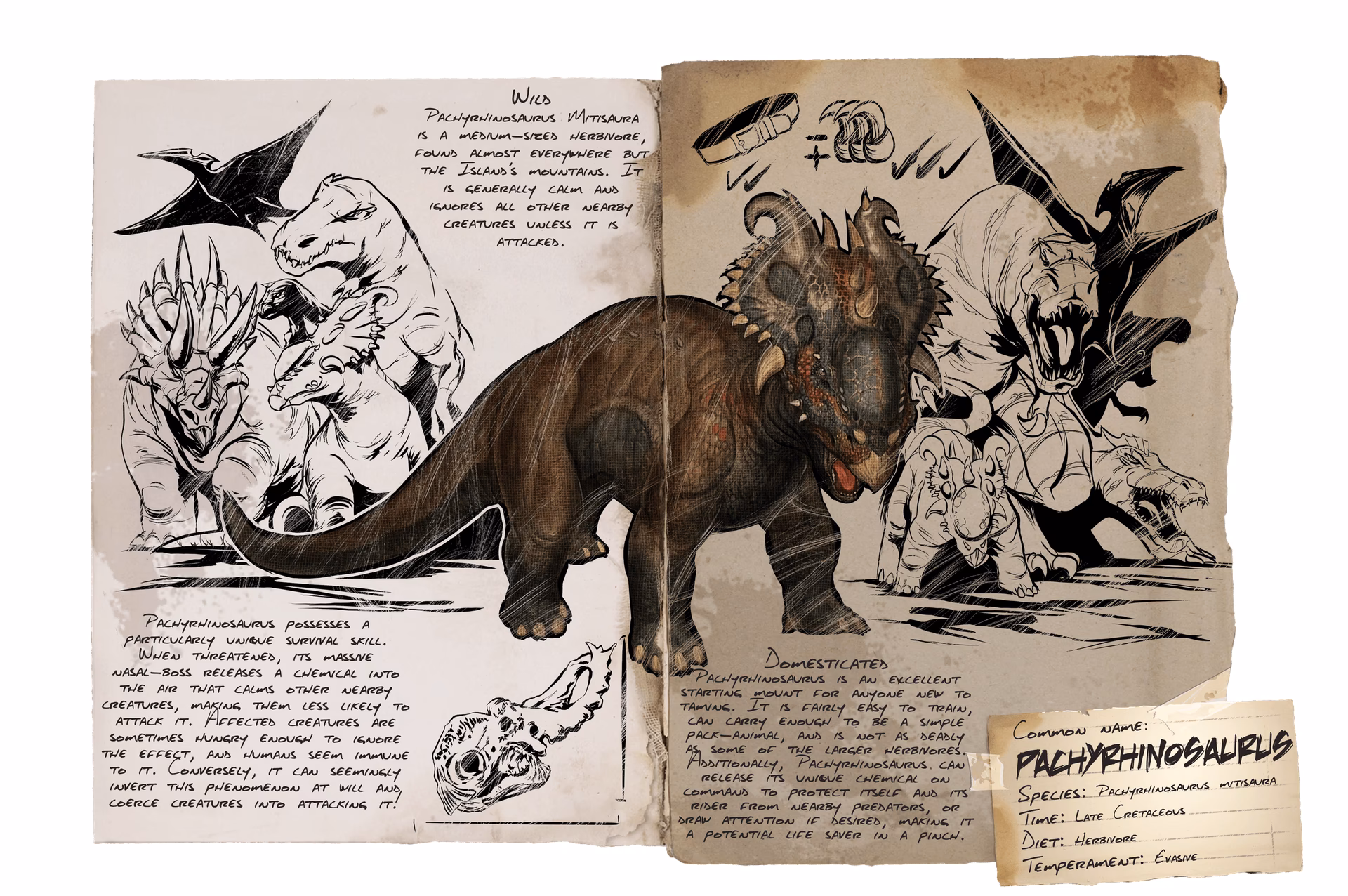 What is the Ark ID for Pachyrhinosaurus?