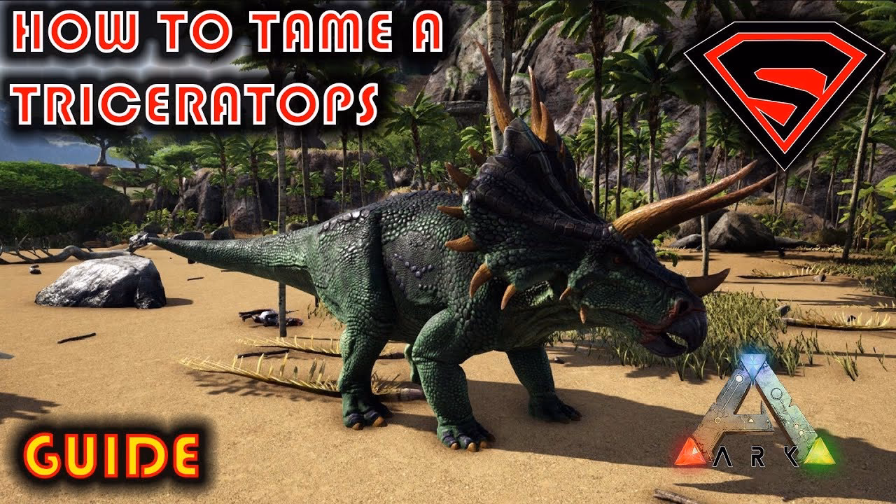 What is Ark trike?