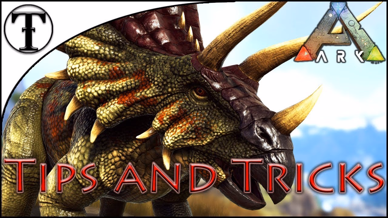 What is Ark trike?