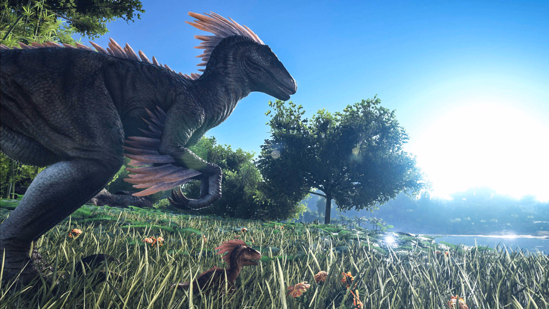 What is the best map mod for Ark?