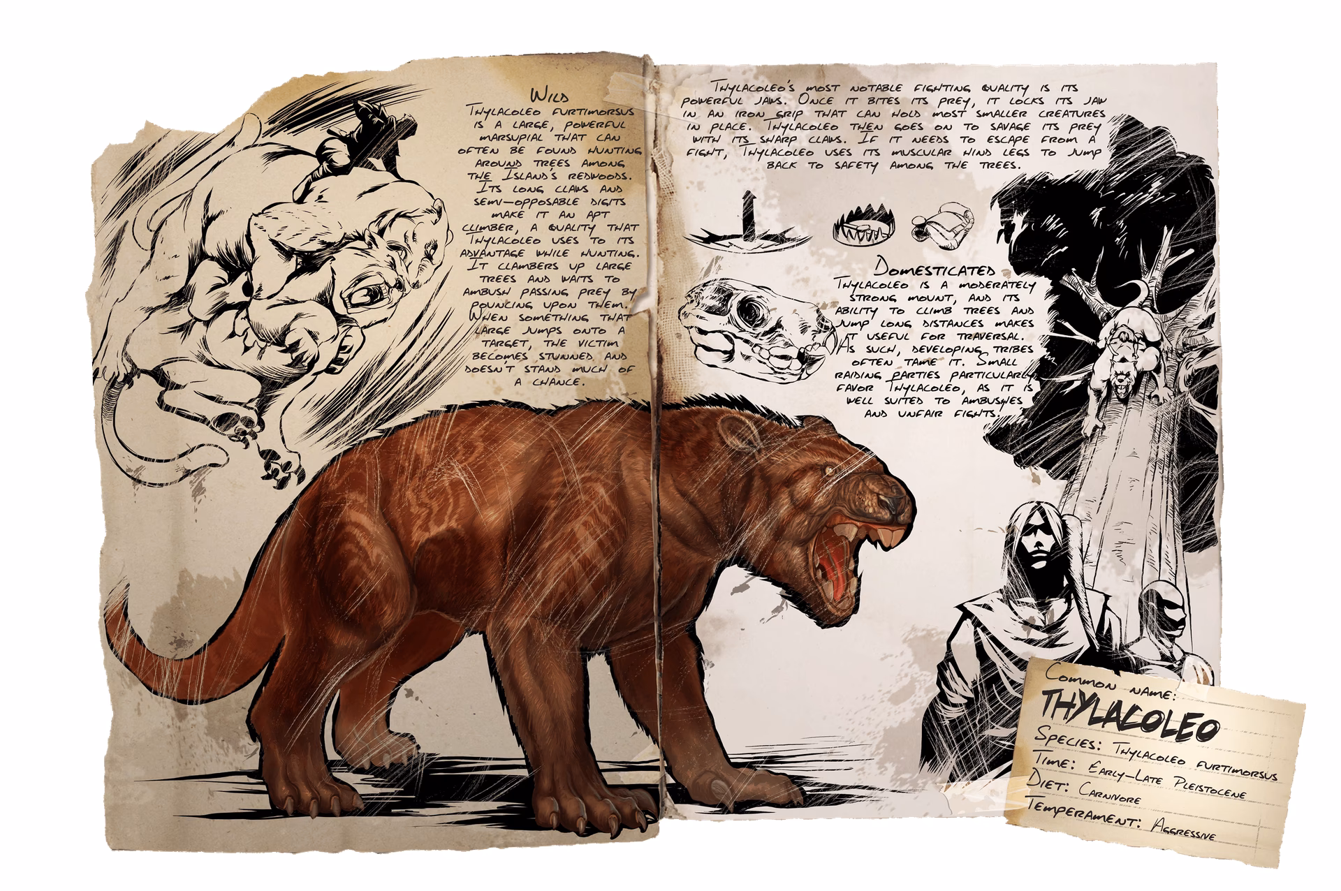 Can Thylacoleo be ridden?