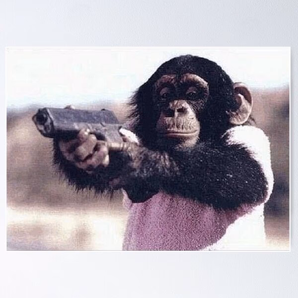 ¿Qué tipo de animales se cazan con armas de ánima lisa?