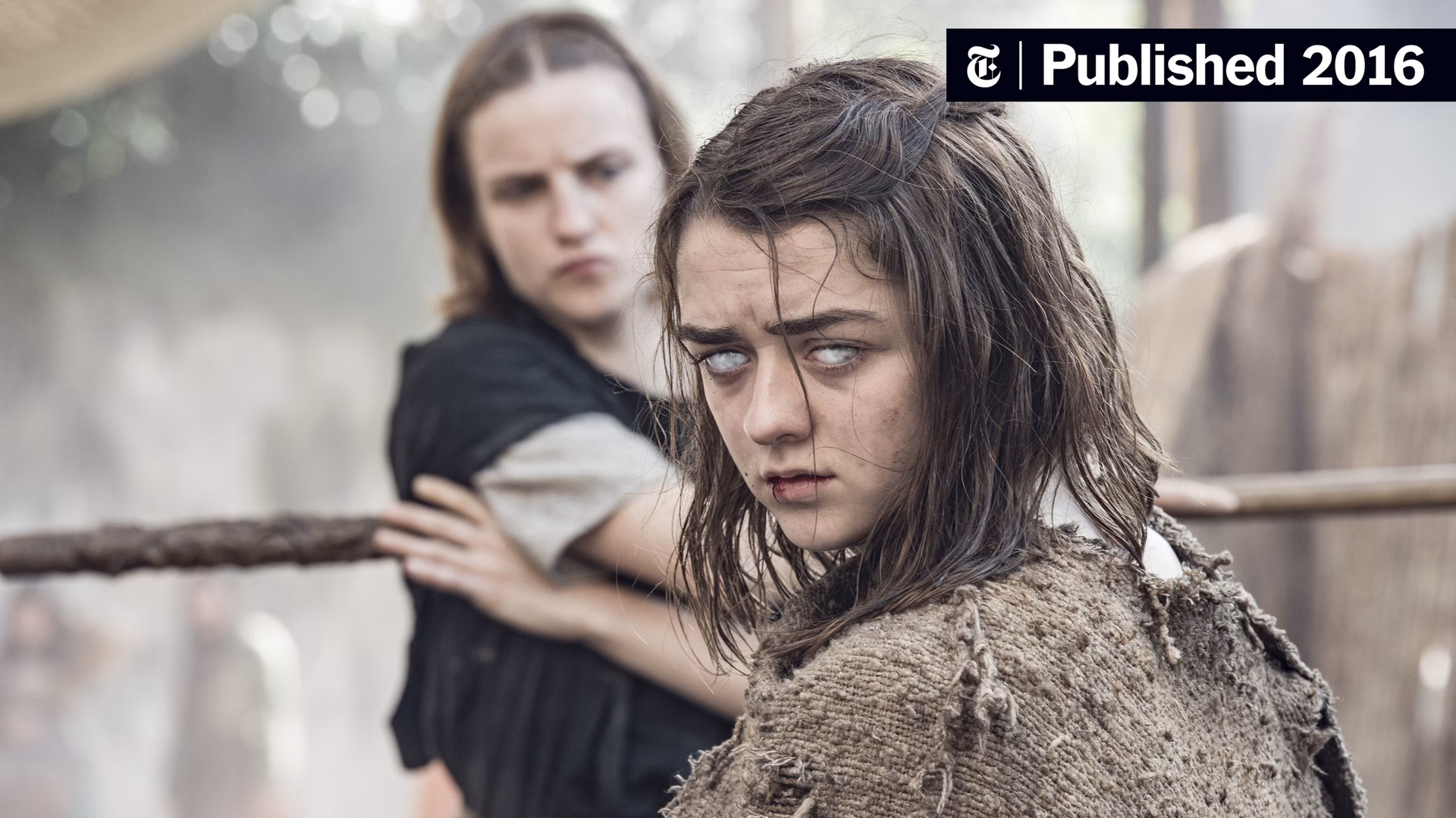 ¿Quién es el hermano mayor de Arya?
