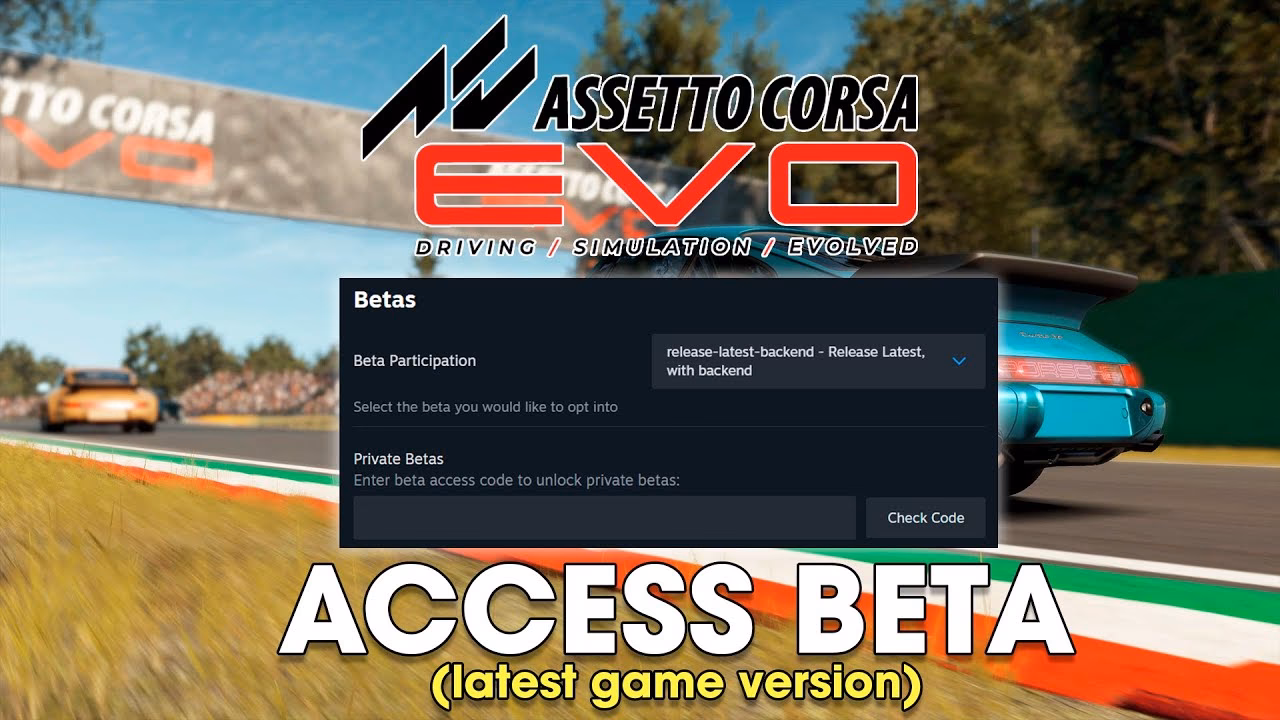 Will Assetto Corsa Evo work in 2024?
