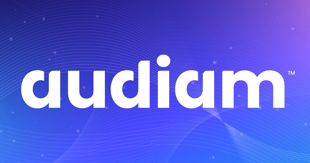 What does Audiam do?