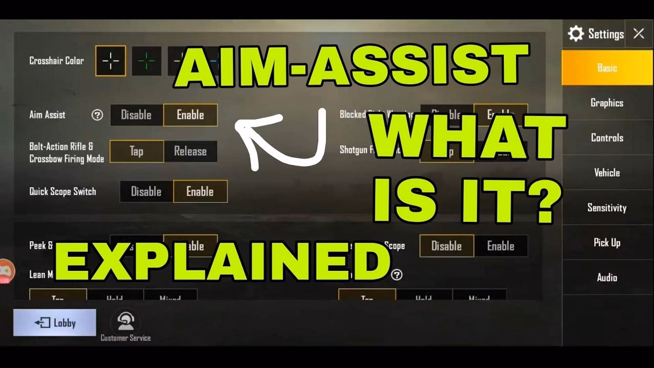 How to use aim assist in PUBG?