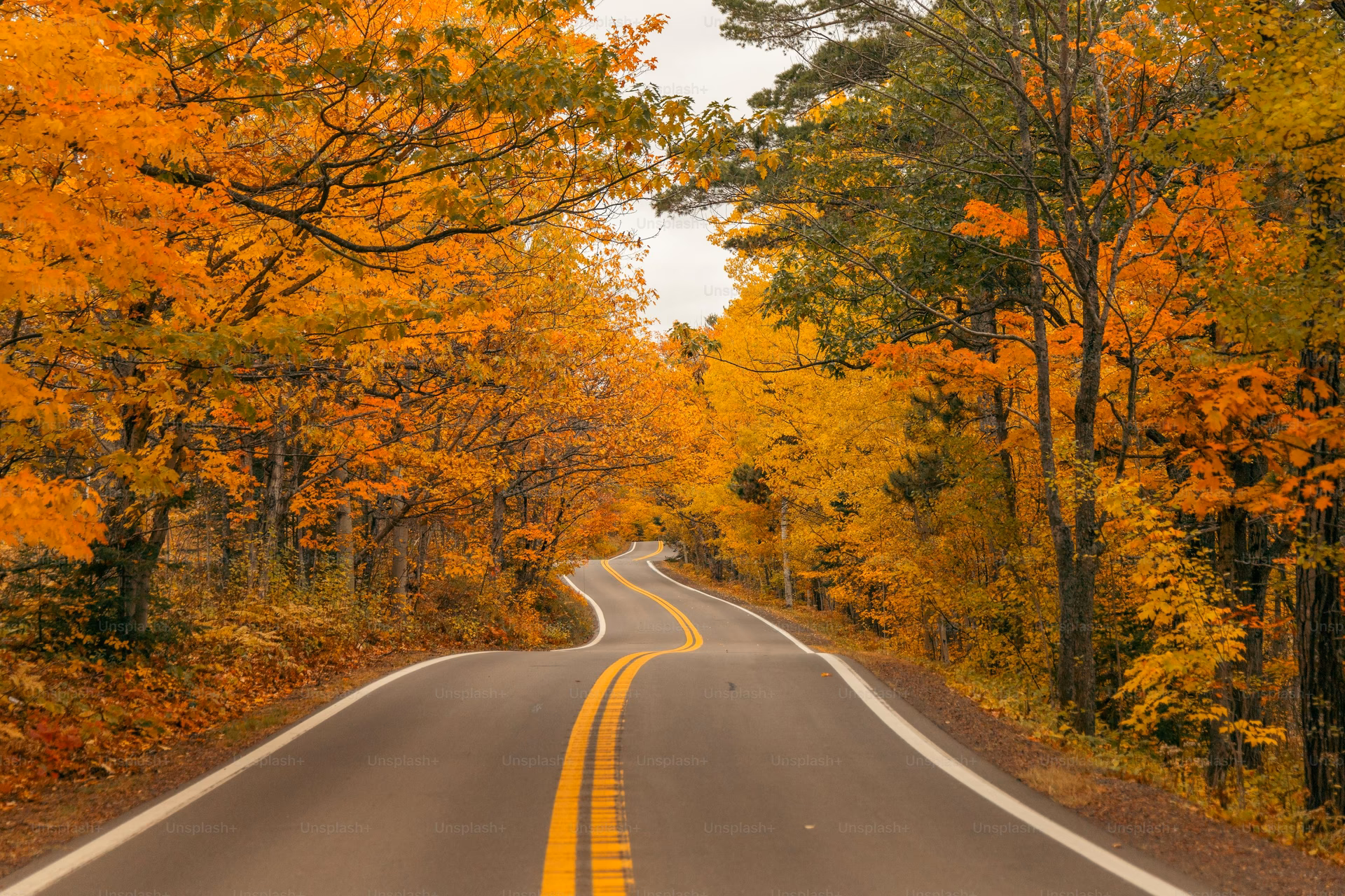 Where can I find free autumn wallpapers?