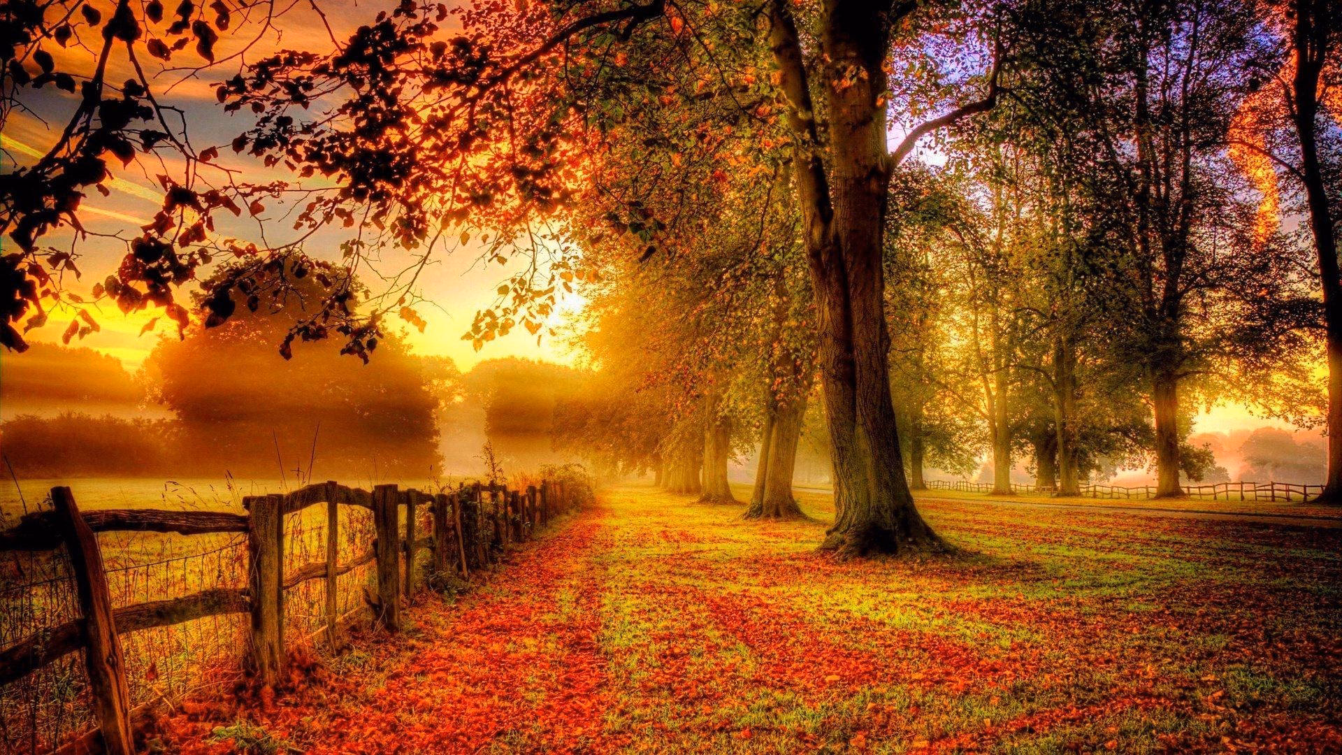 How many 4K autumn wallpapers are there?