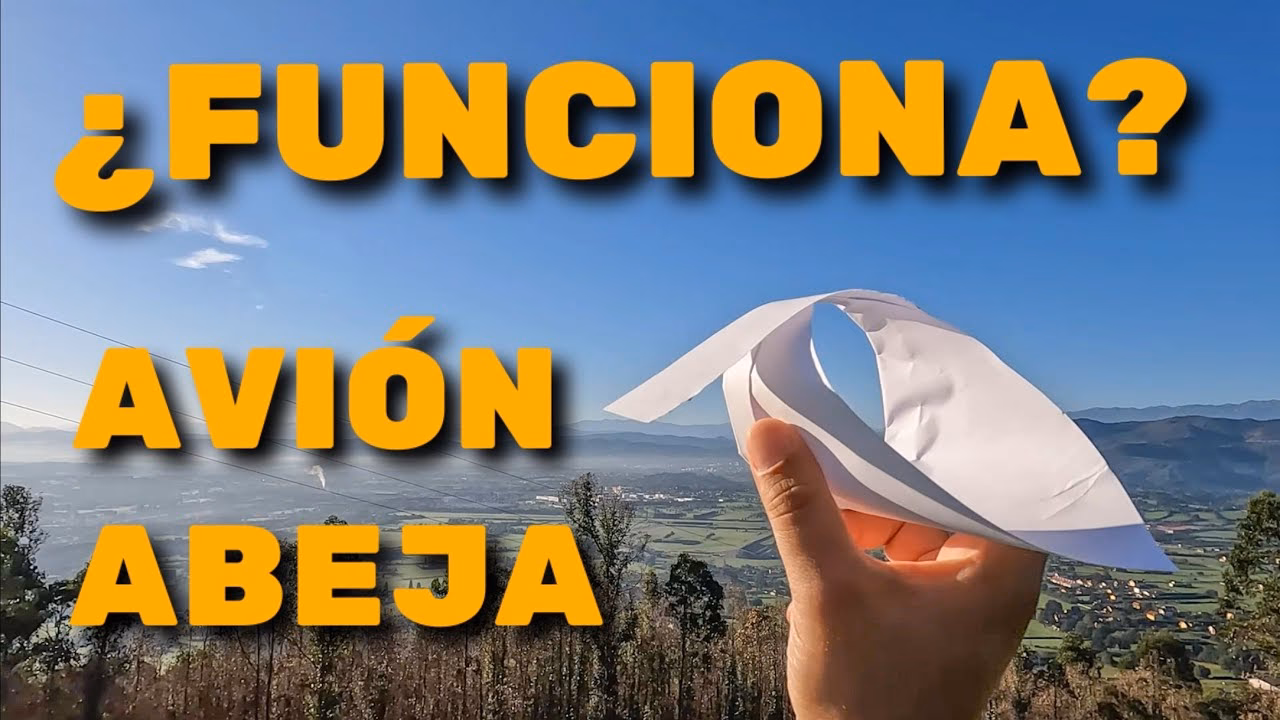 ¿Qué tipo de avión se salva de un enjambre de abejas?