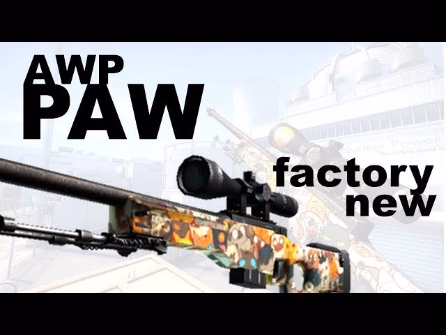 What is the AWP Paw?