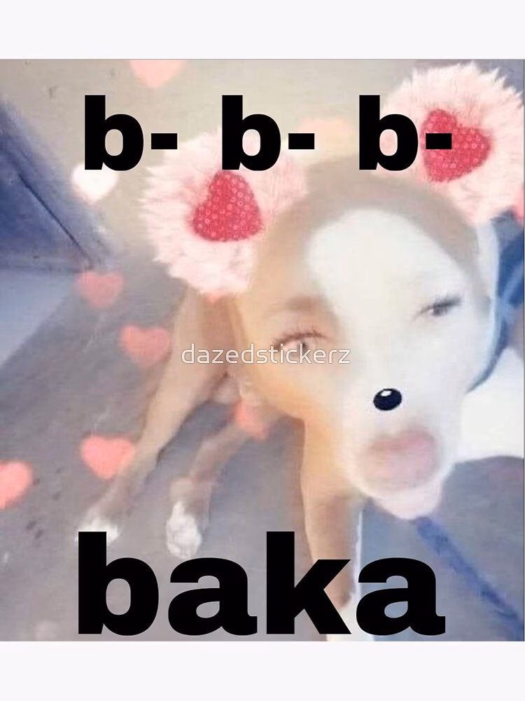 ¿Qué es la expresión de Baka?