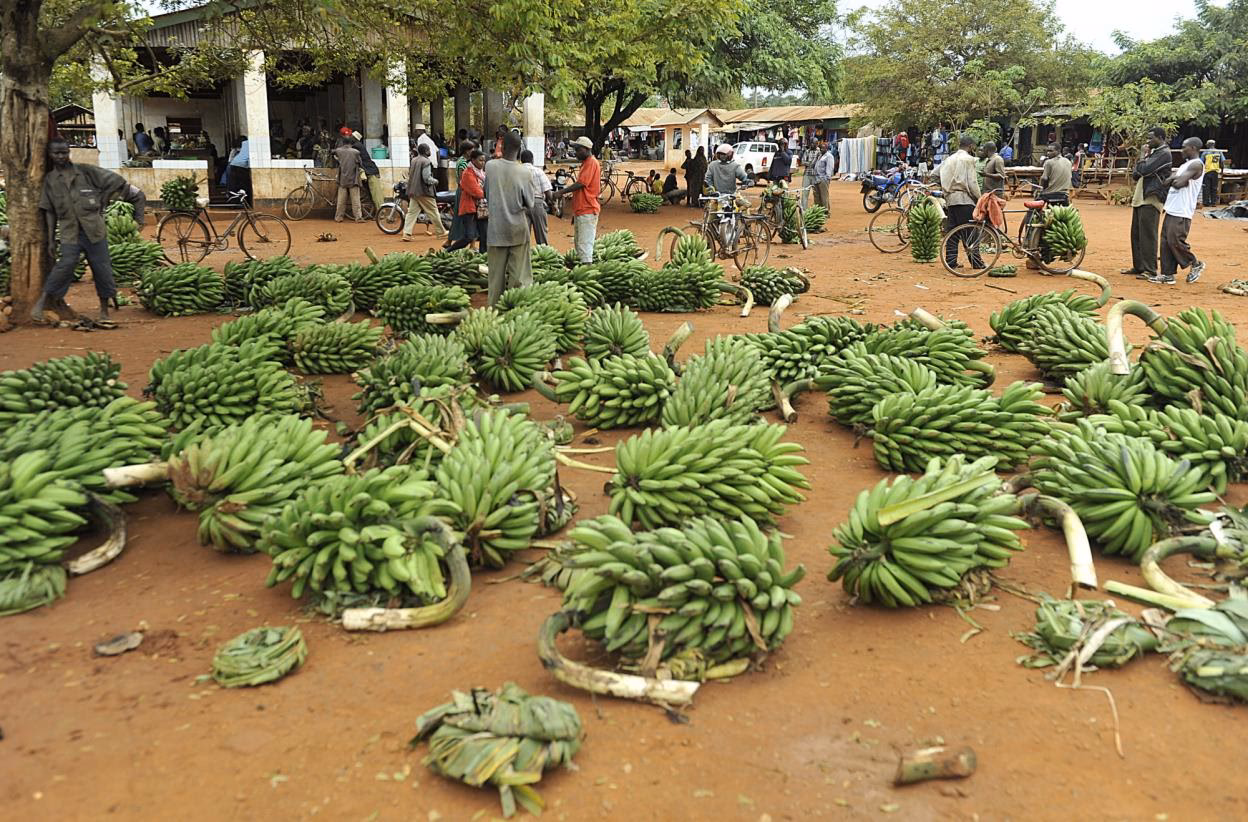 What does the banana trade symbolize?