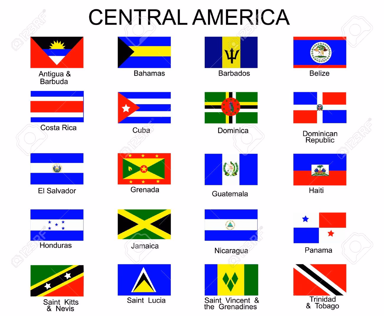 ¿Por qué celebrar la diversidad a través de las banderas?