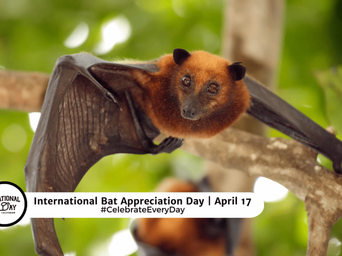 Why did Bat Conservation International start international bat Appreciation Day?