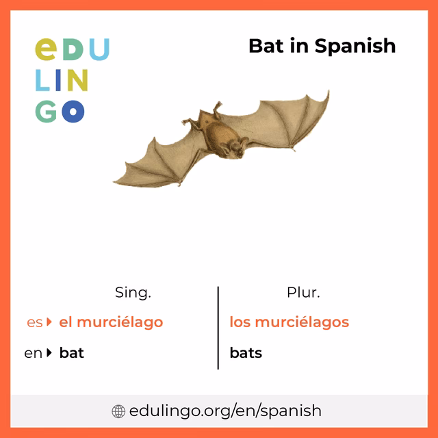 What is the meaning of the word 'bat'?