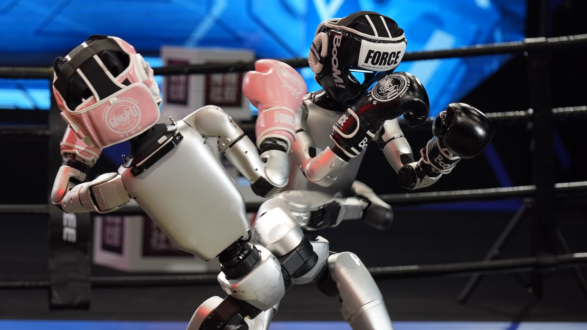 What is robot battles?