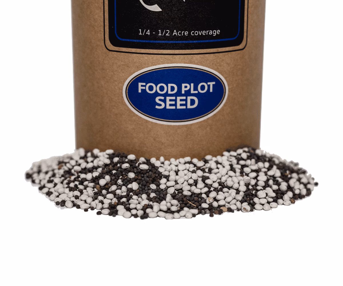 Who is BBB seed?