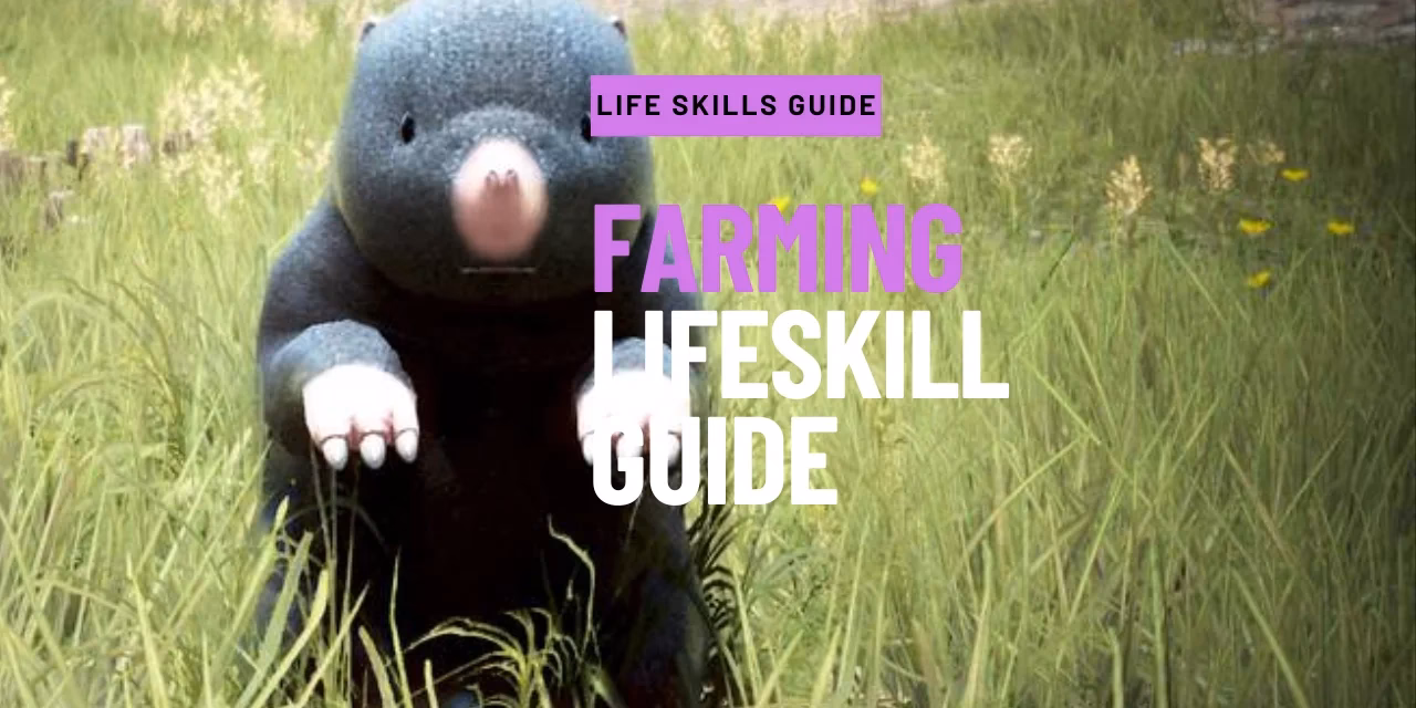 How complicated is farming in BDO?