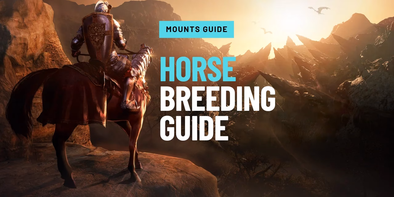 How many breeding brackets does a horse have?