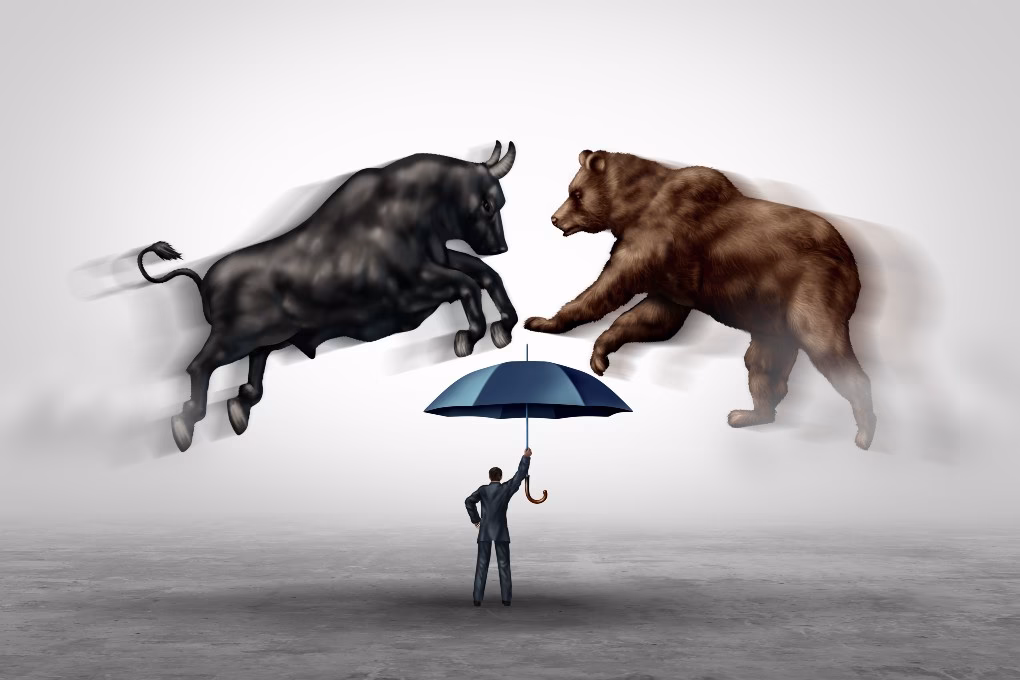 What's the difference between a bear and a bull?