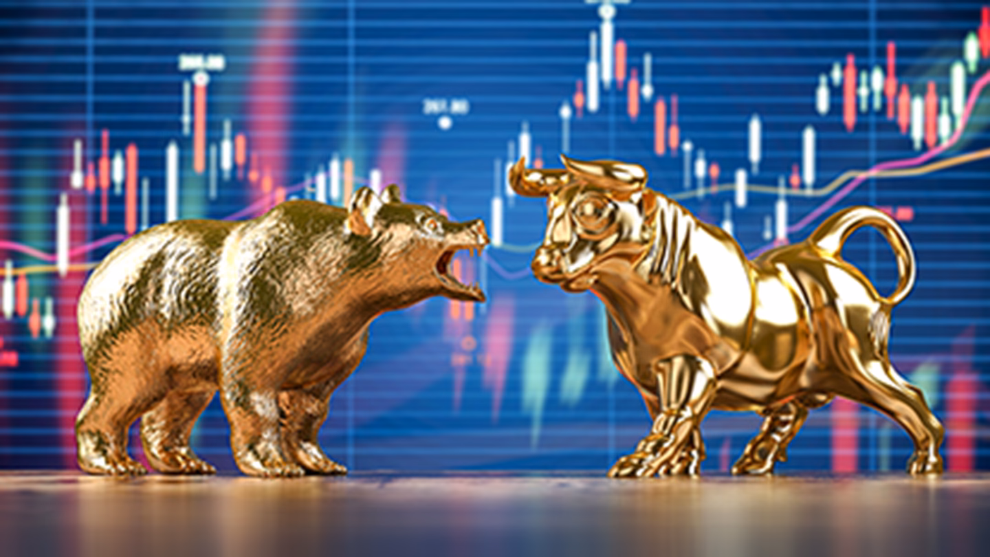 What is a bull & a bear?