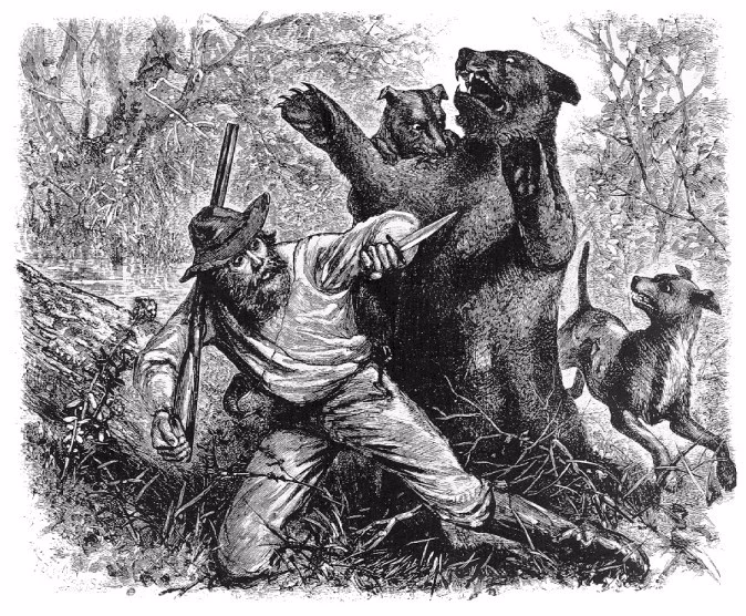 What is a bear trap?