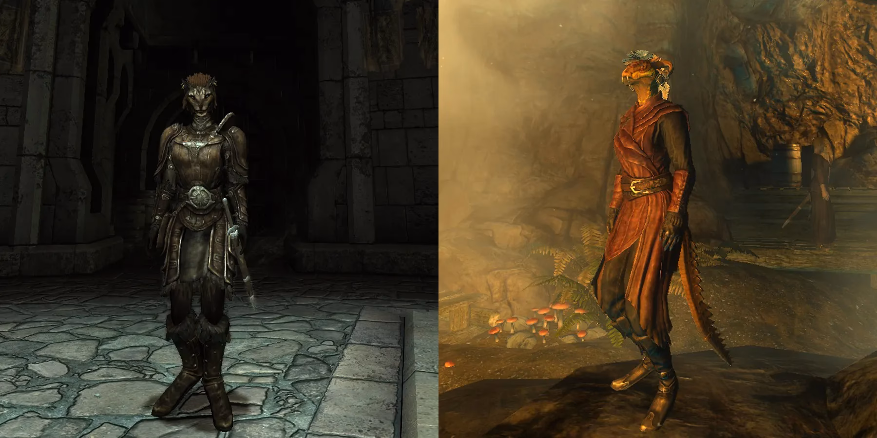 Are there any beast race aesthetic mods?