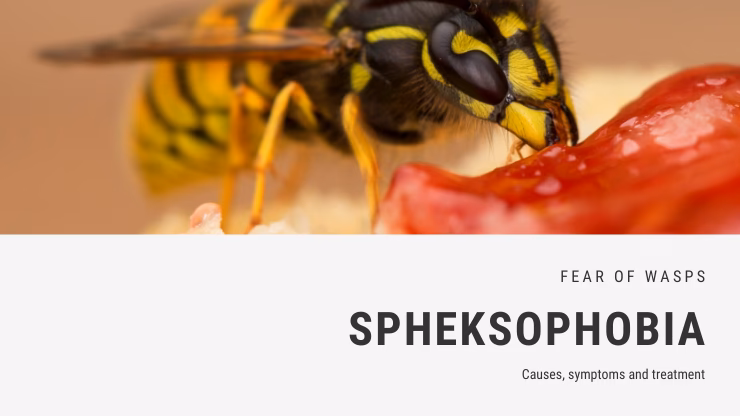 What is wasp phobia & Spheksophobia?
