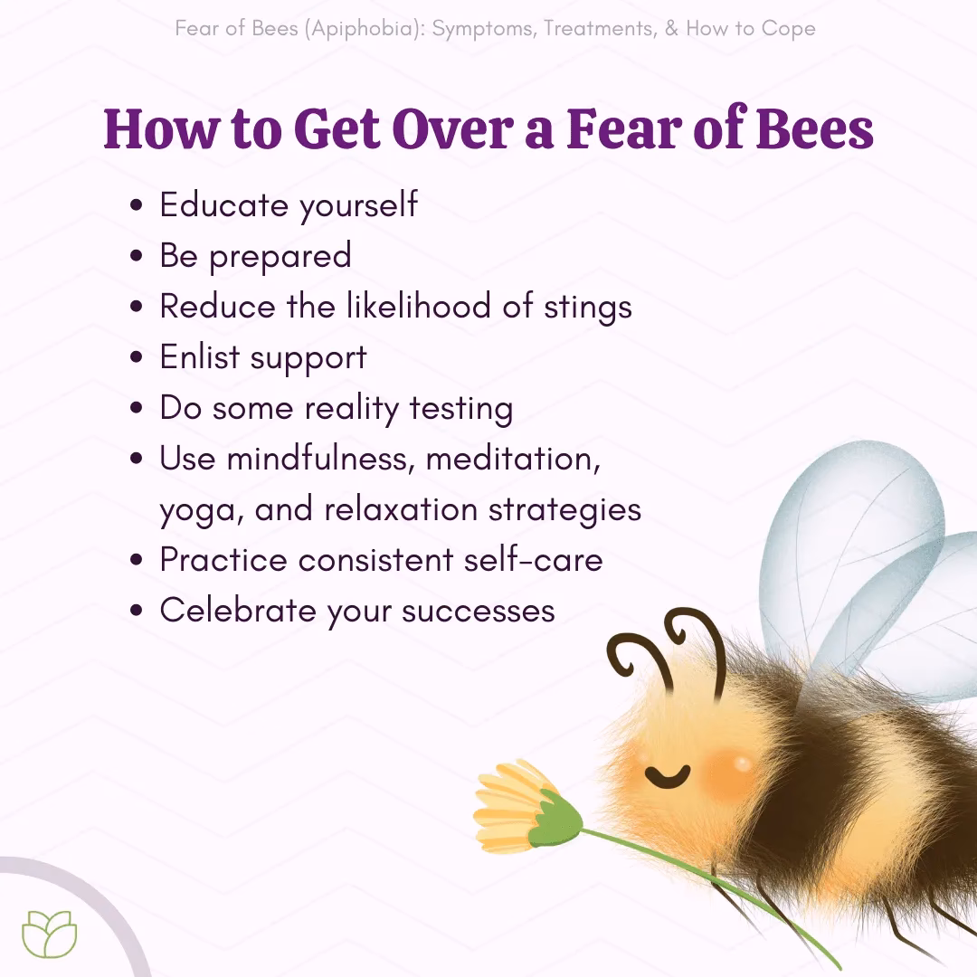 What is bee phobia?