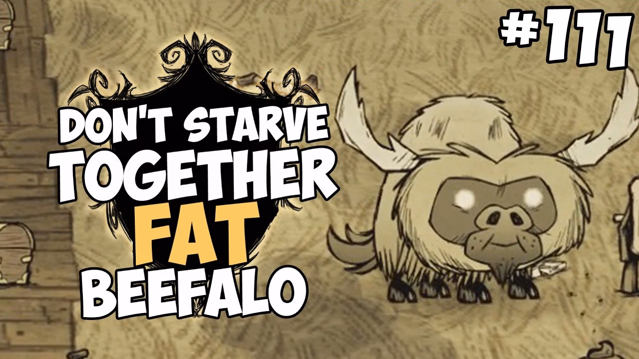 Where can I find the old Beefalo in Don't Starve Together?