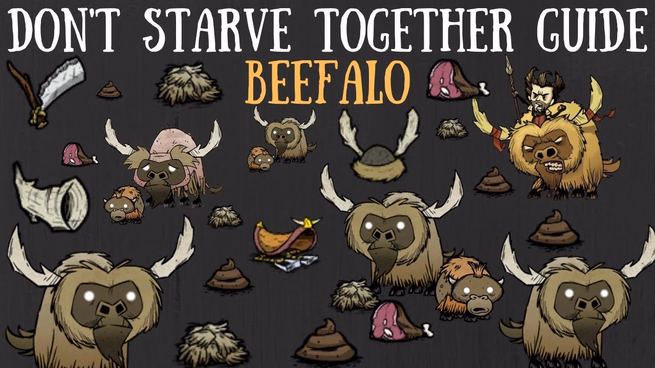 Where is the beefalo grooming station in Don't Starve Together?