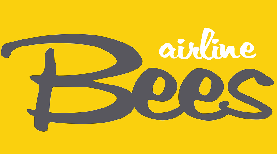Is bees a low-cost airline?