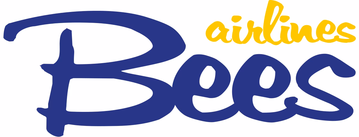 Is bees a low-cost airline?