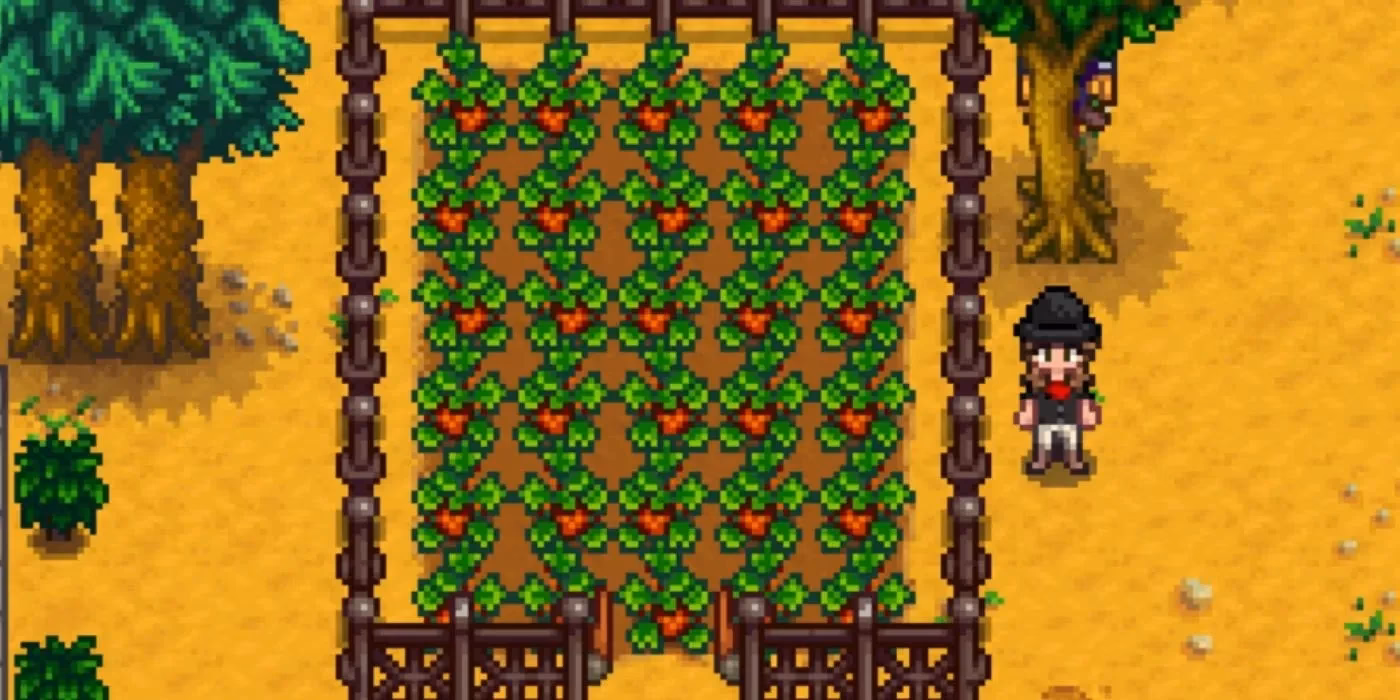 How to grow summer crops in Stardew Valley?