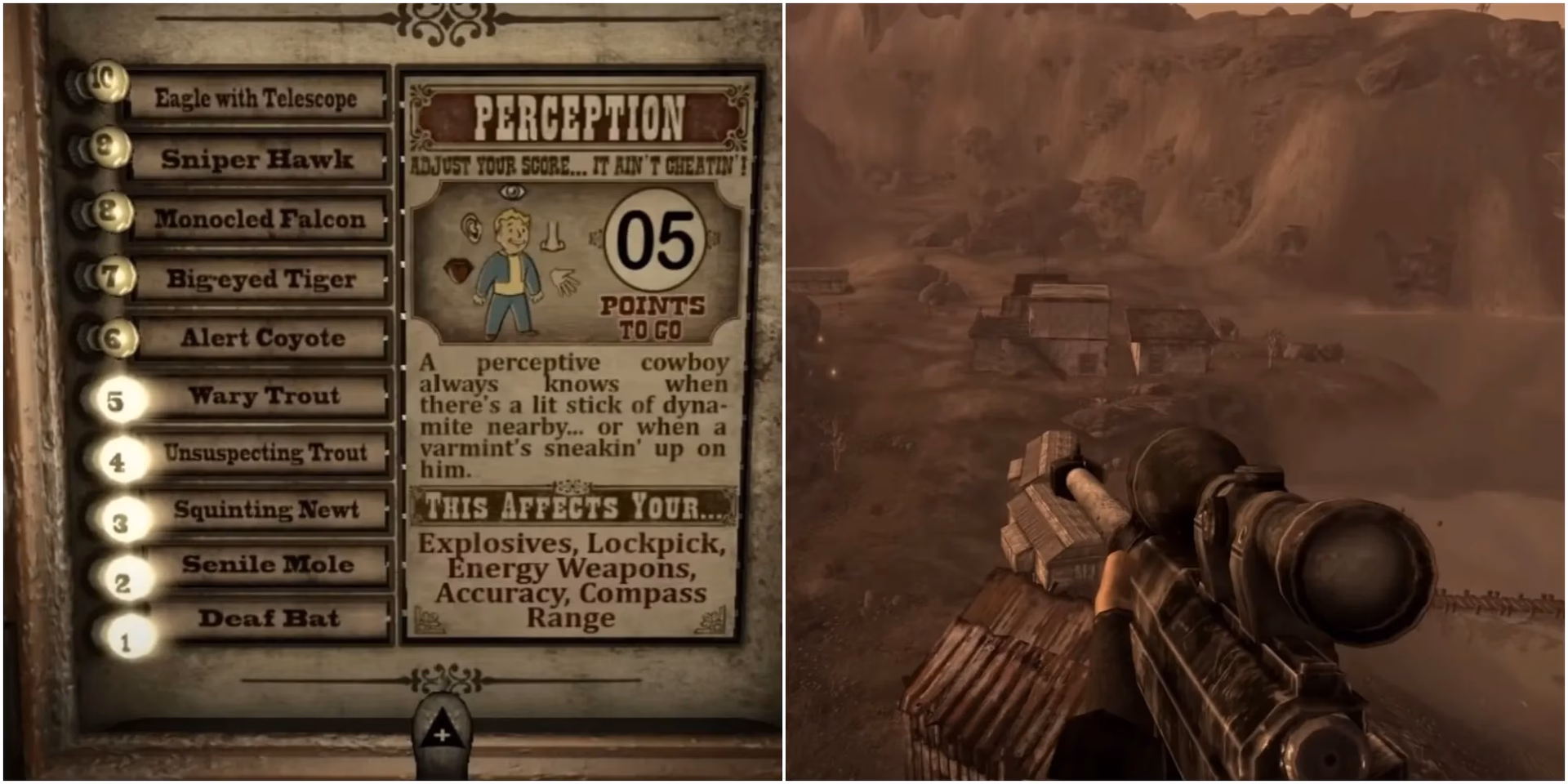 Why is Fallout New Vegas a good build?