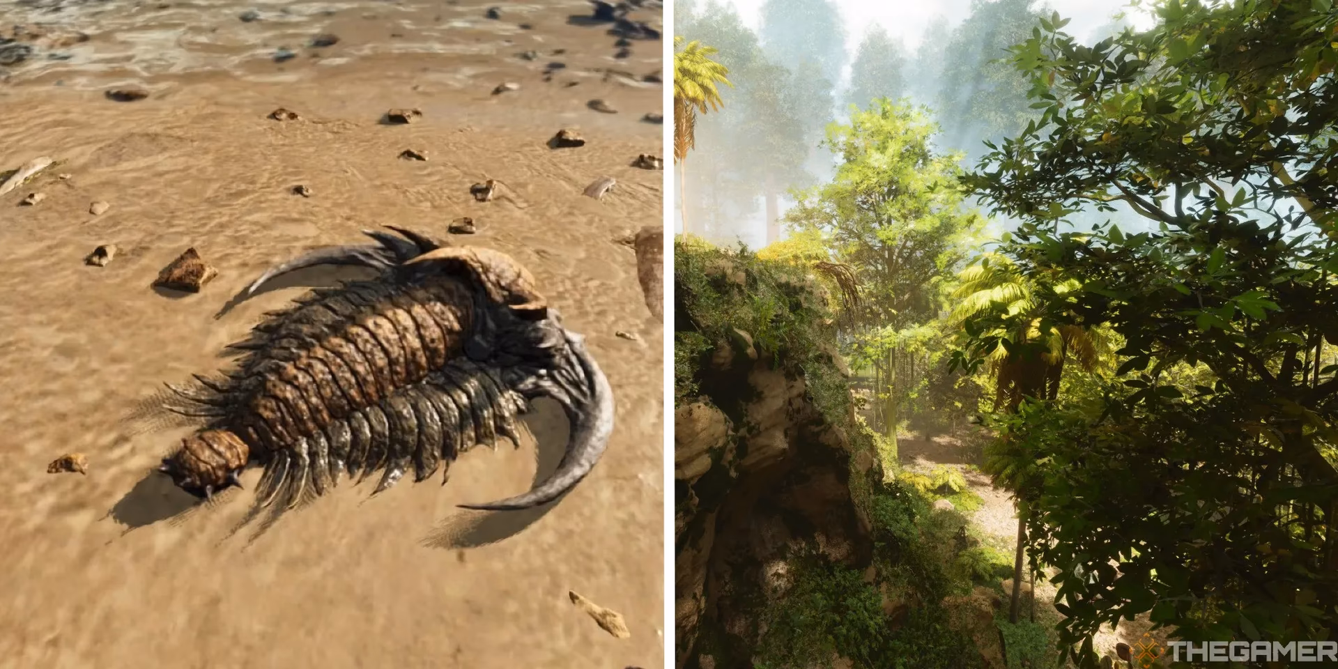 How do you get chitin in Ark Survival Evolved?