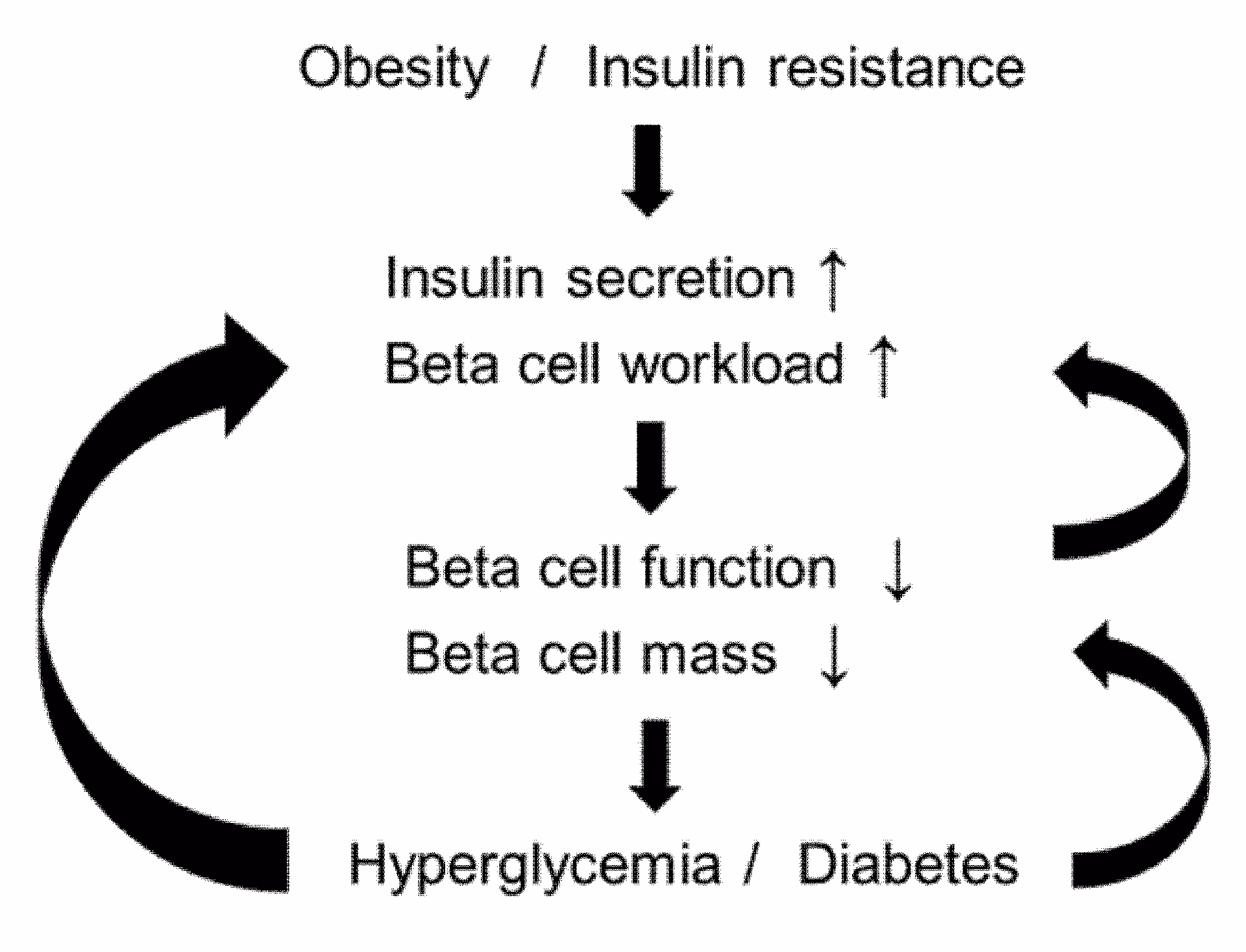 Can a deficiency of beta cell mass cause diabetes?