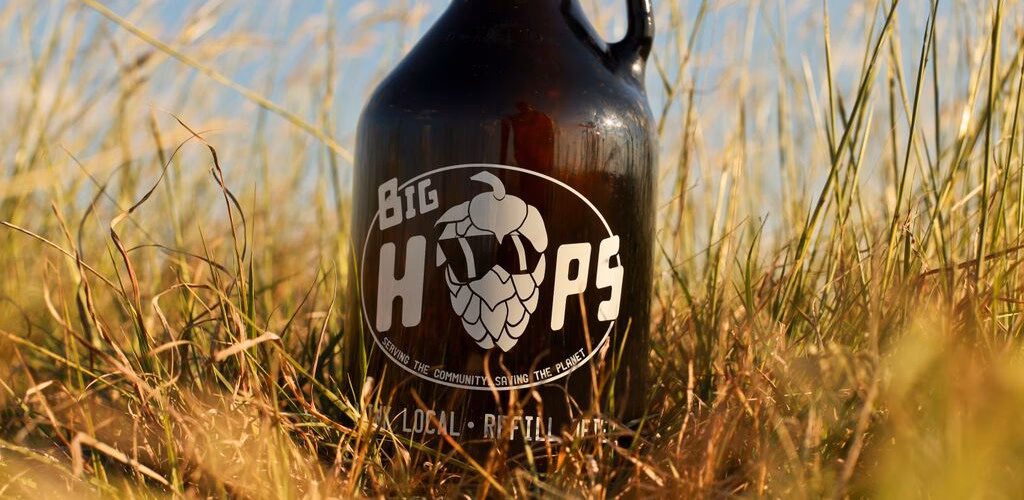 What is a frog in Big hops?