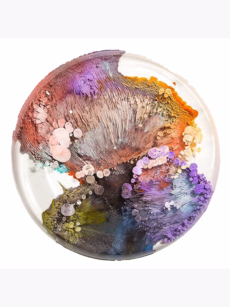 Who invented BioArt?