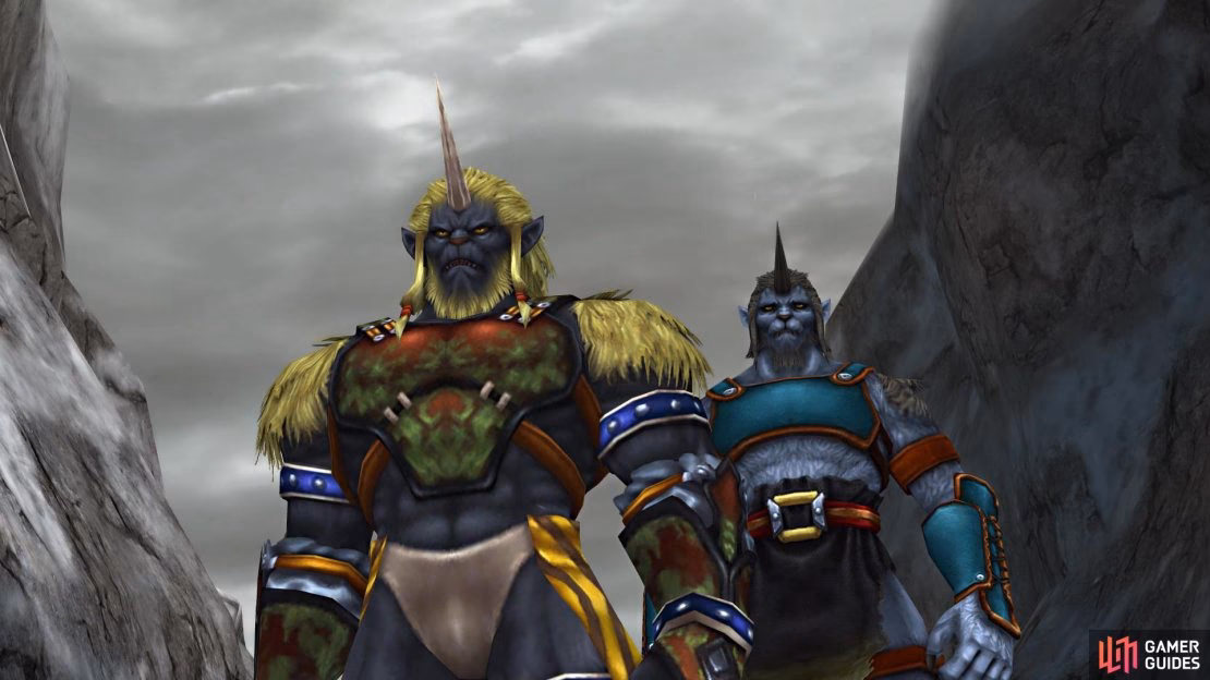 How do Ronso & Biran work together?