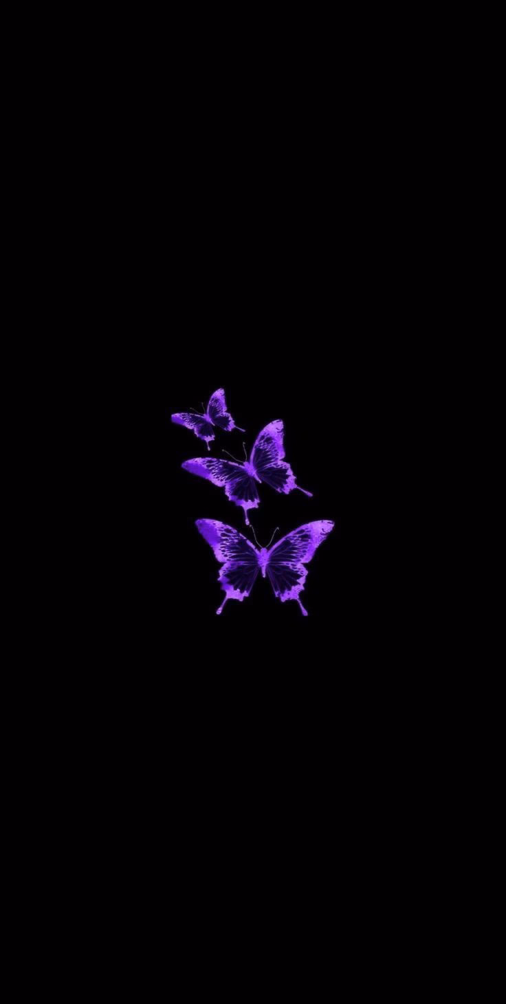 How many black and purple wallpapers are there?