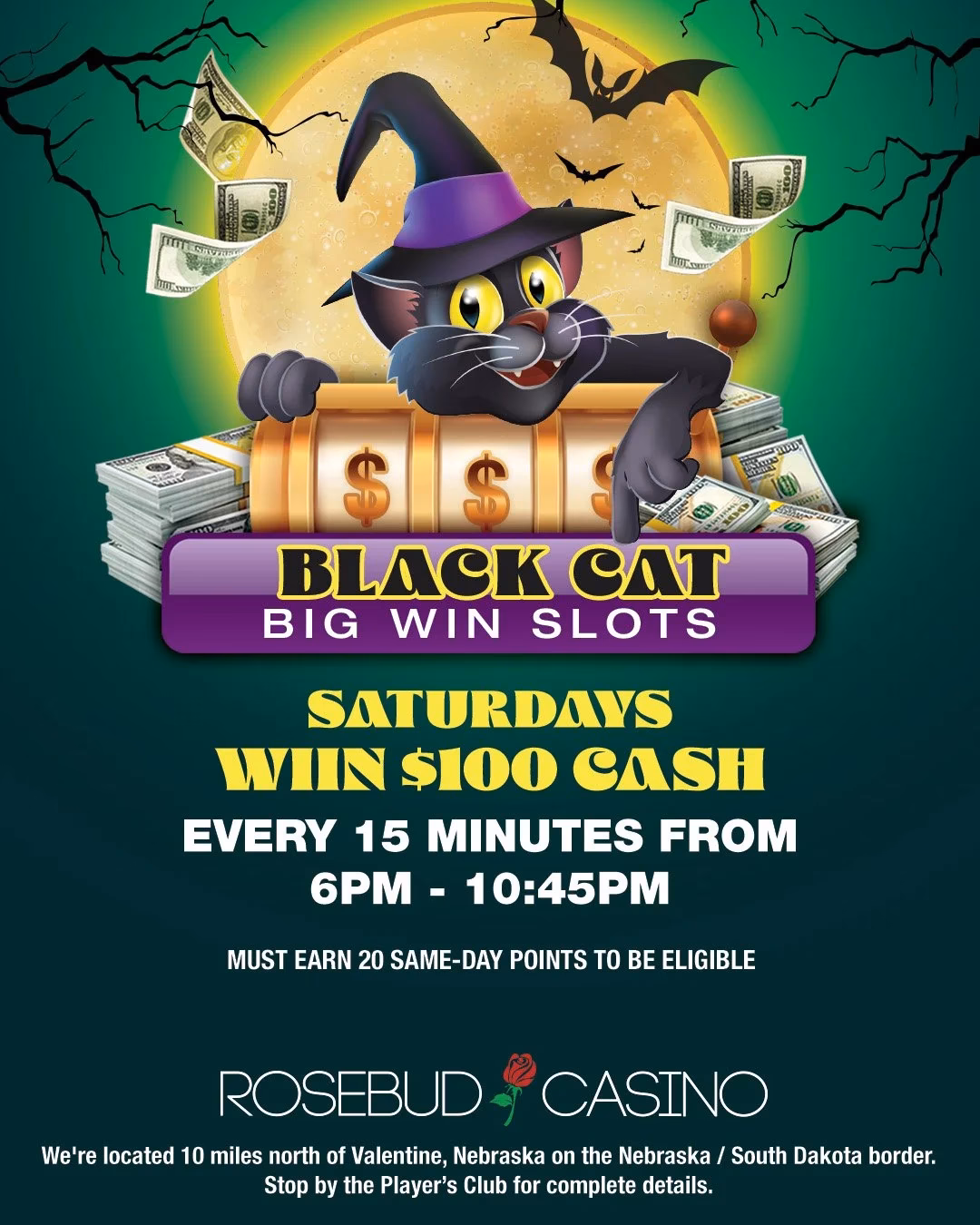Is Detective Black Cat a good slot machine?