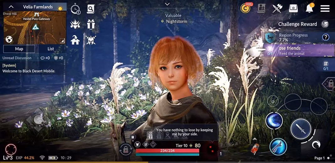 ¿Qué ofrece Black Desert?