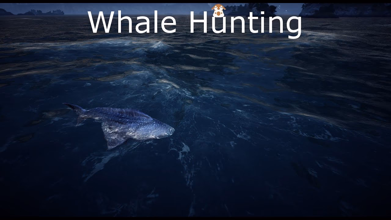 Can you hunt a blue whale in Black Desert Online?