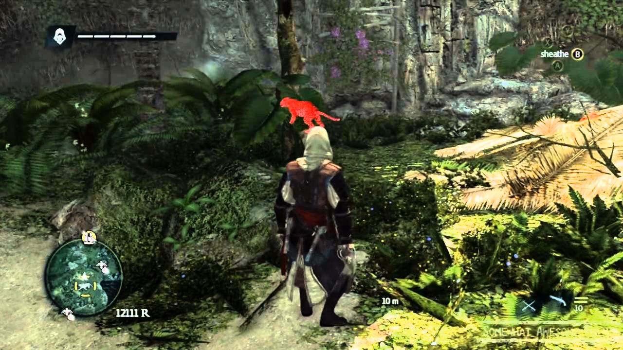 What's new in Assassin's Creed 4 Black Flag?