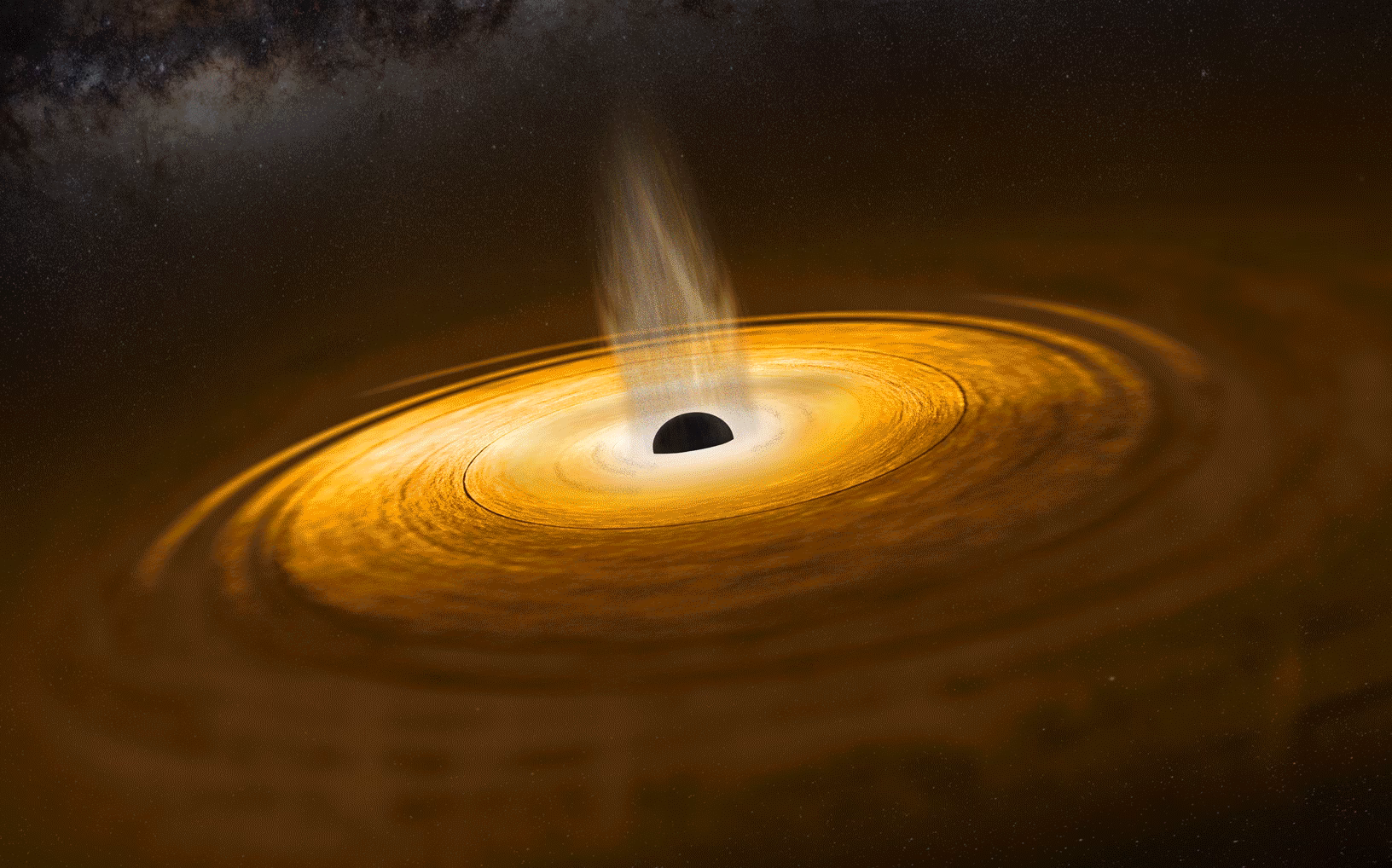 Are Blackhole animations royalty-free?