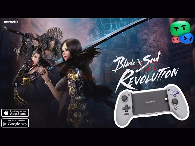 Can I use Blade & Soul Controller on PC?